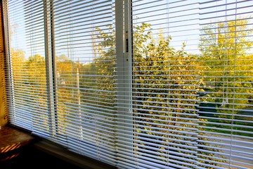 White horizontal aluminium blinds on the windows.