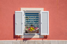 Window With White Shutters And Beautiful Blooming Flowers Against A Red Wall