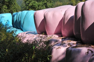 Farbige Stretchfolien-Silage-Rundballen am Rand einer Weide