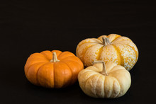 White, Orange And Mixed Pumpkin Like Gourds On A Black Background.