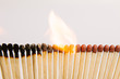 © Sam Burton/Stocksy - Matches
