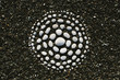© Cameron Zegers/Stocksy - white stones arranged in circular pattern on beach