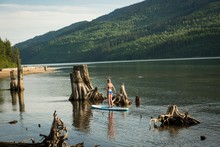 Rear View Of Woman Paddleboarding By Tree Stumps In Lake