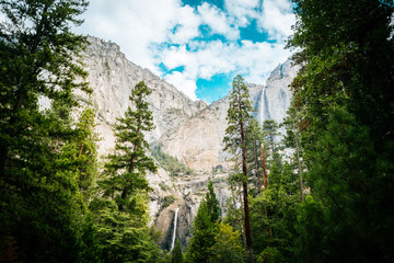 Wall Mural - amazing landscape from yosemite valley, California