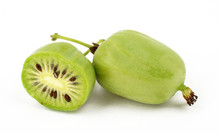 Actinidia Vitamin Berry Hardy Kiwi