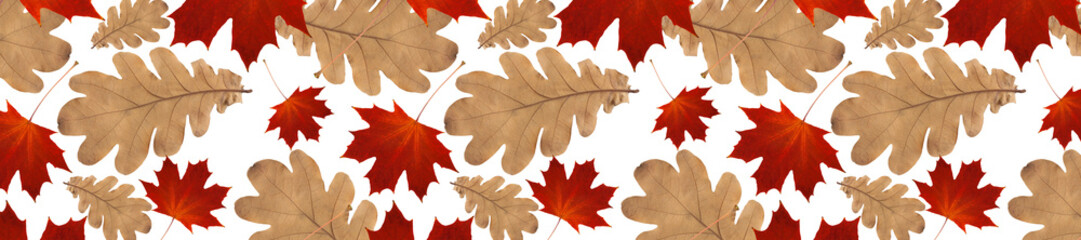 Wall Mural -  panorama autumn pattern from  oak leaves and dry red maple leaves