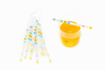 Urine testing kit