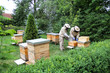 © Mateusz - Beekeeper at work on his apiary with smoker next to the beehive