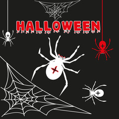 Cobweb spider web halloween black vector