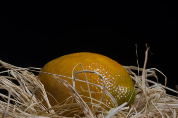 lemon macro