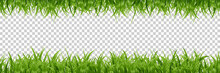 Vector Realistic Isolated Green Grass Borders For Decoration And Covering On The Transparent Background.