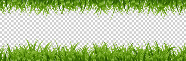 vector realistic isolated green grass borders for decoration and covering on the transparent backgro