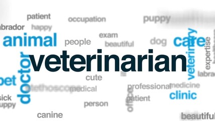 Sticker - Veterinarian animated word cloud, text design animation.