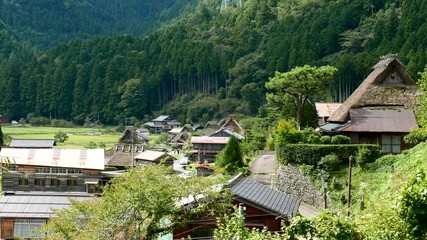 Canvas Print - Shirakawago village in Japan