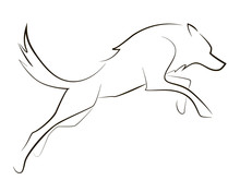 Running Black Line Wolf On White Background. Hand Drawing Vector Graphic Dog.