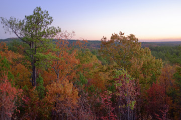 Wall Mural - Morning tree and sky colors in Talladega National Forest near Heflin, Alabama, USA