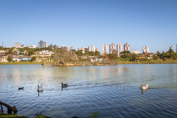 Sticker - Lake view of Barigui Park with geese and city skyline - Curitiba, Parana, Brazil