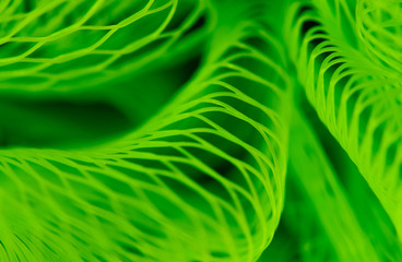 Space warp neon green mesh macro