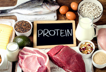 Wall Mural - Best Foods High in Protein