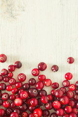 Poster - fresh cranberries on white wooden surface