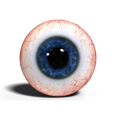 realistic human eye with blue iris isolated on white background