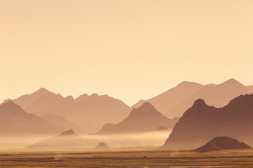 Wall Mural - desert landscape of nature