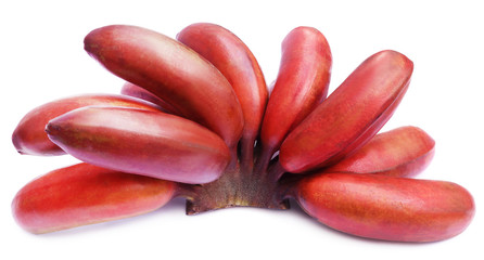 Wall Mural - Red banana