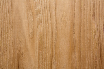 wood texture. background