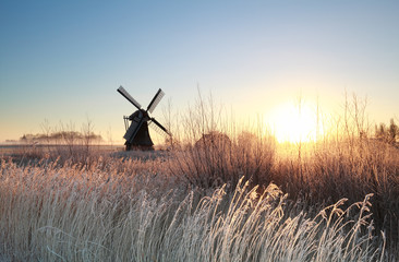 Fototapete - sunrise over Dutch windmill on frosty morning