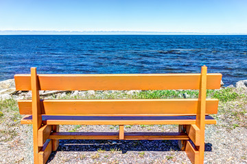 Wall Mural - One vibrant vivid empty orange bench in front of ocean