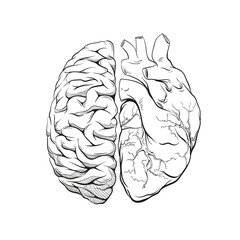 Versus human brain right and left hemisphere and heart illustration. Creative concept vector design. 