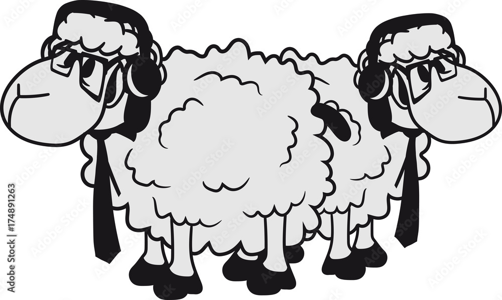 Download Cartoon schaf lustig For Free Cartoon Schaf Lustig