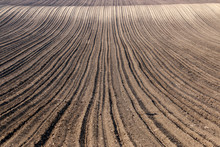 Plowed Field Nature Background Agriculture