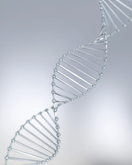 Canvas Print - structure of DNA helix