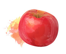 Vector Red Apple Illustration With Watercolor Effect Isolated On White Background