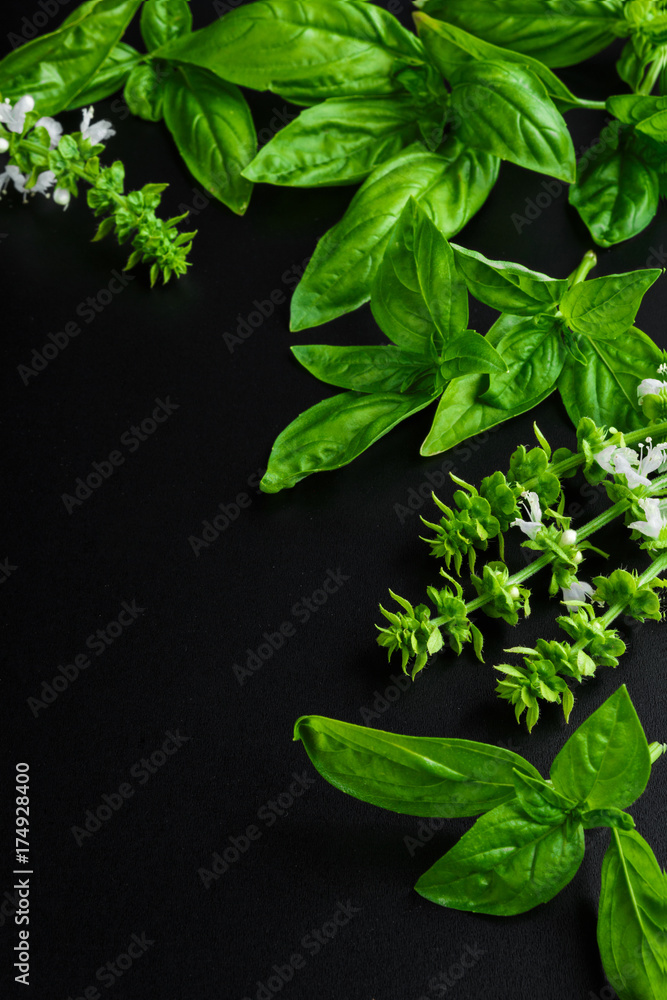 Fresh juicy aromatic herb basil and inflorescence in a pattern on a dark background top view with copy space - obrazy, fototapety, plakaty 