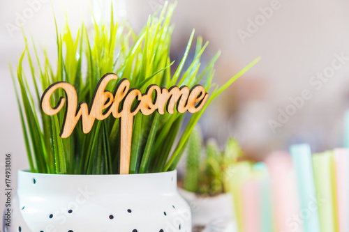 Photographie little wooden welcome sign in a white plant pot