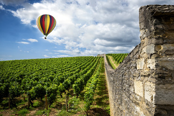 Wall Mural -  Burgundy vineyards with hot air balloon, France