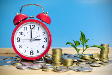 Time to make money growing concept,Business success concept, Green environment investment concept. Watch and trees growing on pile of coins isolated on white background. Malaysia coins.