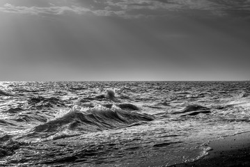 Wall Mural - The wave in the sea black and white.