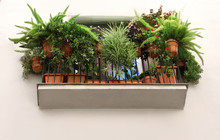 Spanish Balcony Decorated With Pots With Green Plants