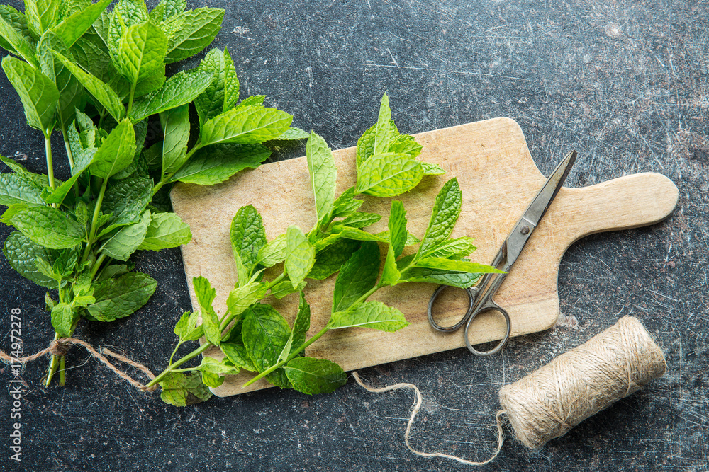 Branch mint leaves and thread with scissors. Stock Photo | Adobe Stock