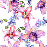 Fototapeta Storczyk - Wildflower orchid flower pattern in a watercolor style. Full name of the plant: colorful orchid. Aquarelle wild flower for background, texture, wrapper pattern, frame or border.