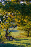 Fototapeta Krajobraz - autumn_bench_1