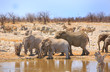 Waterhole with a huge herd of elephants and herd of zxebra in the background, with a clear blue cloudless sky, Etosha
