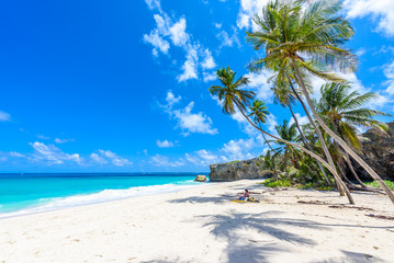 Wall Mural - Bottom Bay, Barbados - Paradise beach on the Caribbean island of Barbados. Tropical coast with palms hanging over turquoise sea. Panoramic photo of beautiful landscape.