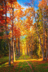 autumn landscape
