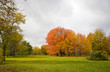 Colors of autumn background. Colors of the fall at Midwest USA. Autumn landscape with green lawn, colorful trees and gray cloudy sky. Horizontal shot.