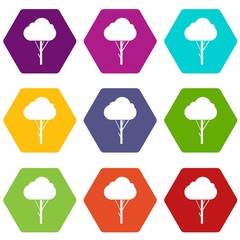 Sticker - Tree icon set color hexahedron