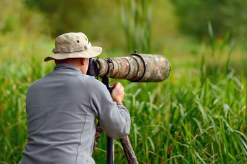 Wall Mural - Wildlife photographer outdoor
